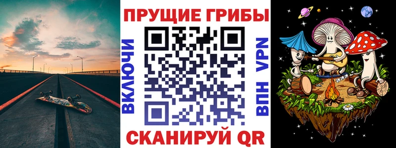 Псилоцибиновые грибы Cubensis  МЕГА tor  Переславль-Залесский 