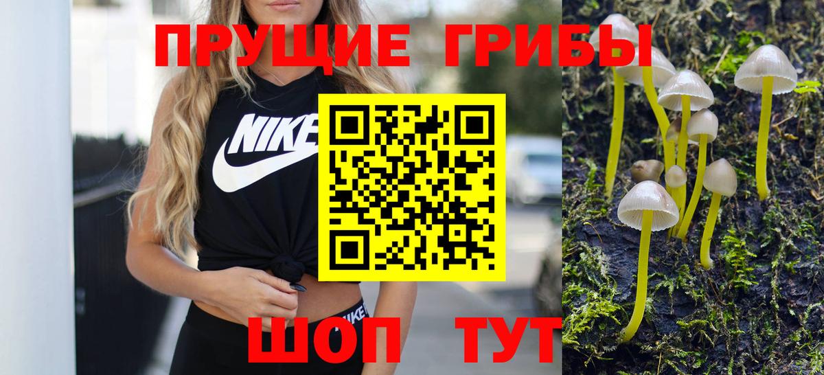 Переславль-Залесский  Галлюциногенные грибы мицелий  Вход с VPN 