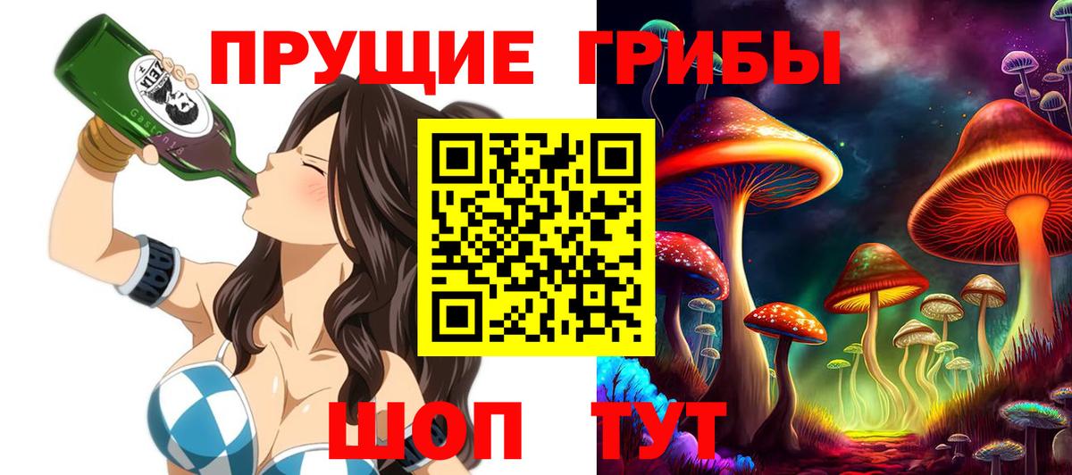 Галлюциногенные грибы прущие грибы Переславль-Залесский